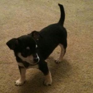 Meet your Posher, Courtney